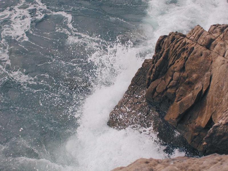 周末农夫<br>qyf5seag.cn 阳台种菜指南